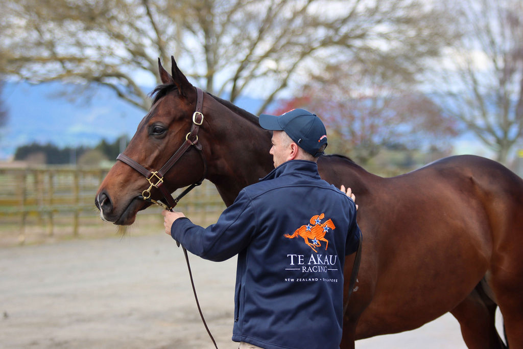 gavelhouse's tweet photo. 🗞️Business on the @gavelhouse front is also being done at @KarakaChat this week. Thus far we have two exceptional mares locked in to be sold on Gavelhouse Plus ➕ in March. 

📩@HaylieMartin or @pcunningham_17 to sell on our world-record breaking site! 

📸 $4,100,000 🌟Avantage https://t.co/O8lBMDs6qa