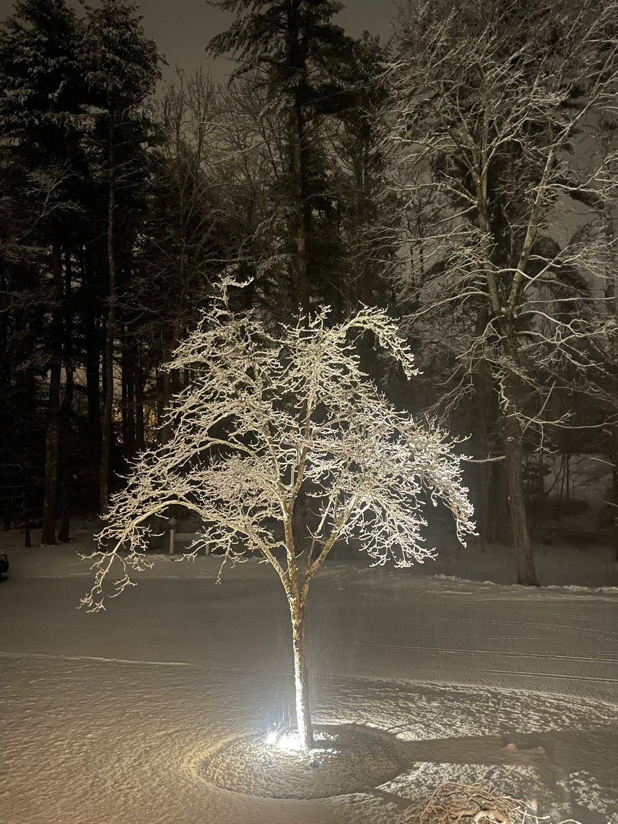 brettjackson2's tweet photo. @ShiriSpear Kingston, MA 
@JacksonDoppler https://t.co/rqOsvXz3j4