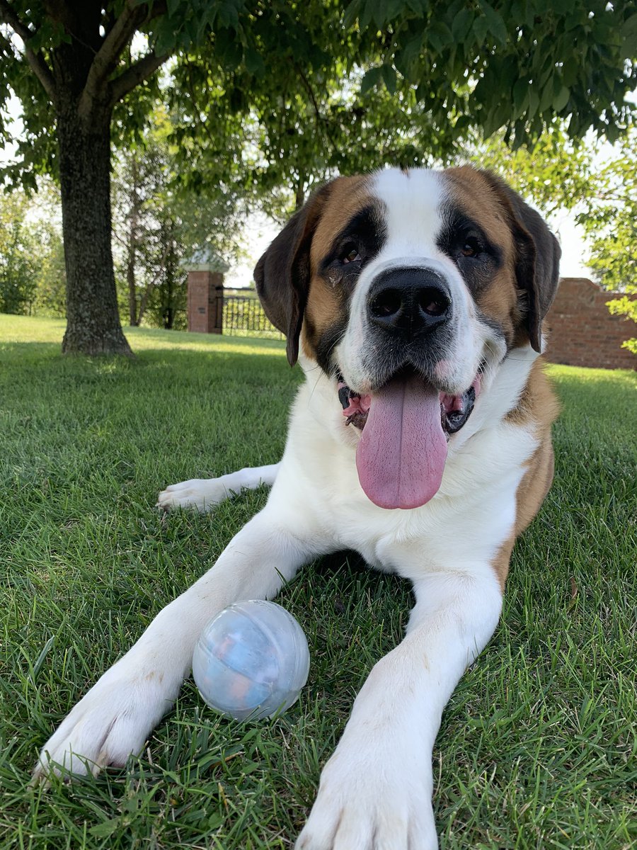 Just figured this would be another good platform to share this❤️ <a href="/Nick_Chaney52/">C̶͎̬̿̔h̷̟̦̜̏̿̐a̷͈̠̋̃̑ͅḯ̷̙n̷͎͖̭̐͑s̷̬͕͒͗̇͜a̷̲̣̓̌w</a>