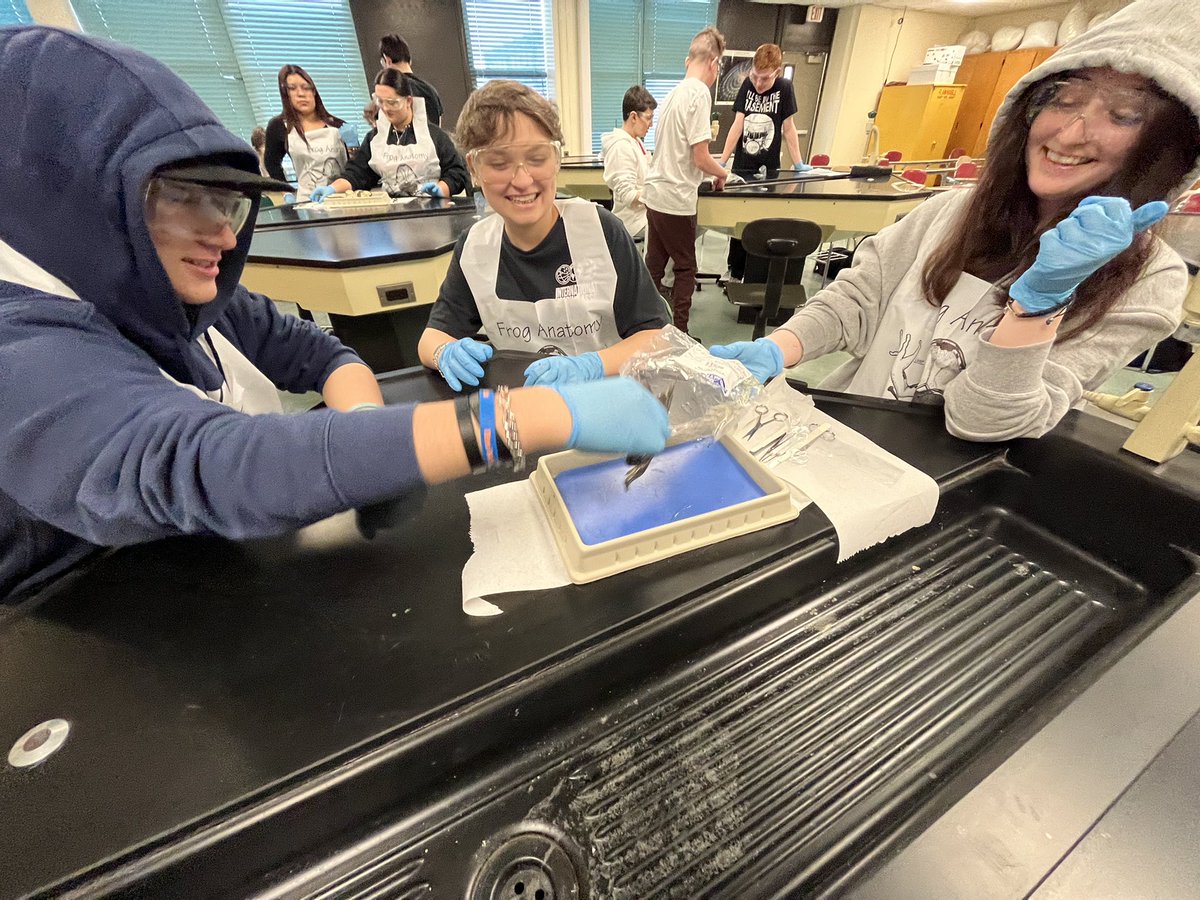 Mr_Fauci's tweet photo. 🐸 dissection day! #WeArePlainedge https://t.co/8wyyBgL1T5