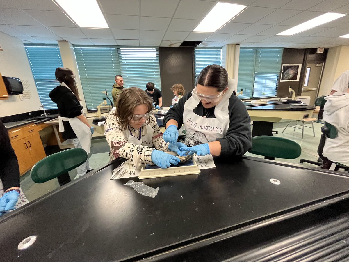 Mr_Fauci's tweet photo. 🐸 dissection day! #WeArePlainedge https://t.co/8wyyBgL1T5