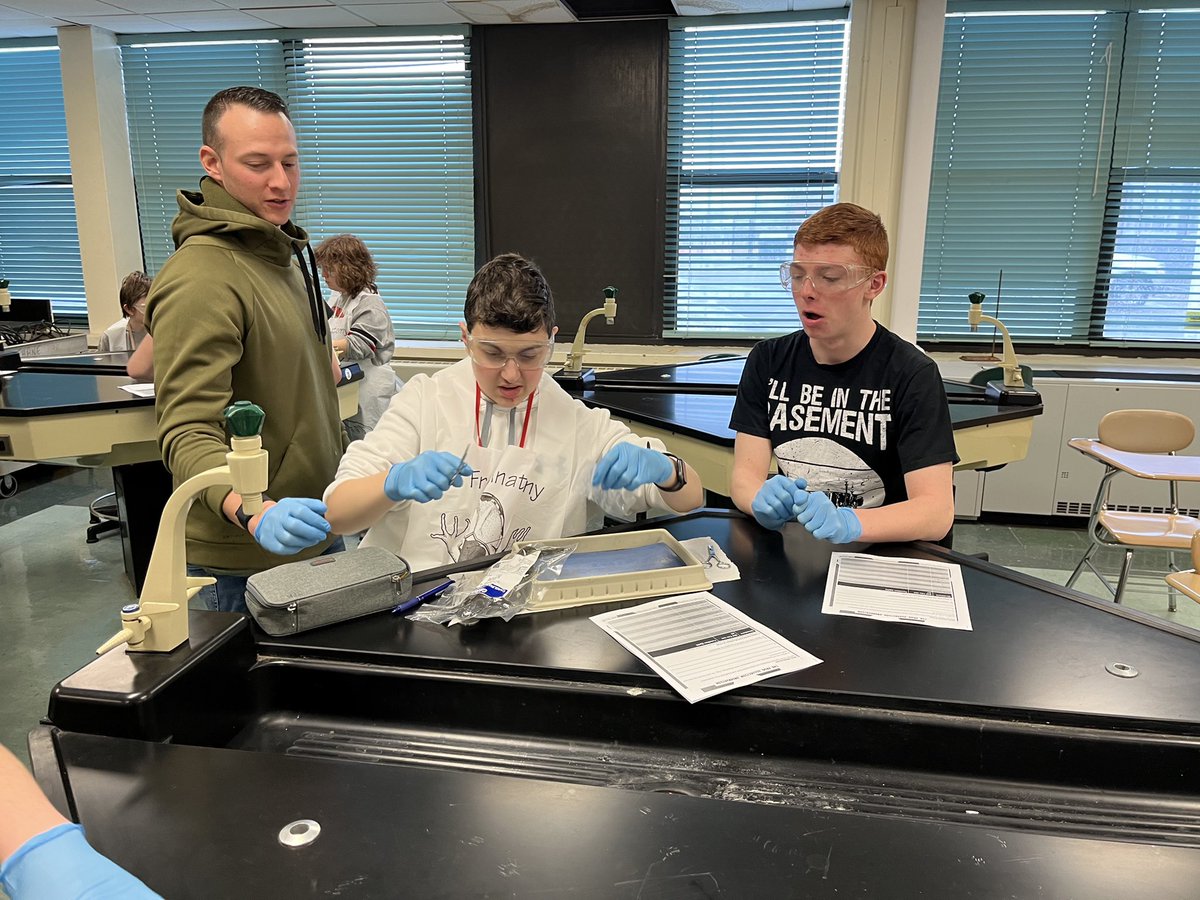 Mr_Fauci's tweet photo. 🐸 dissection day! #WeArePlainedge https://t.co/8wyyBgL1T5