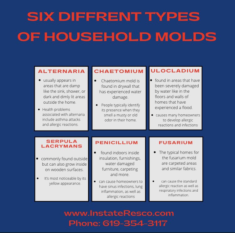 The more you know about mold,the safer you are in your home.

#instateresco #waterrestoration #waterdamagerestoration #explorepage #waterresco #missionvalley #SanDiego