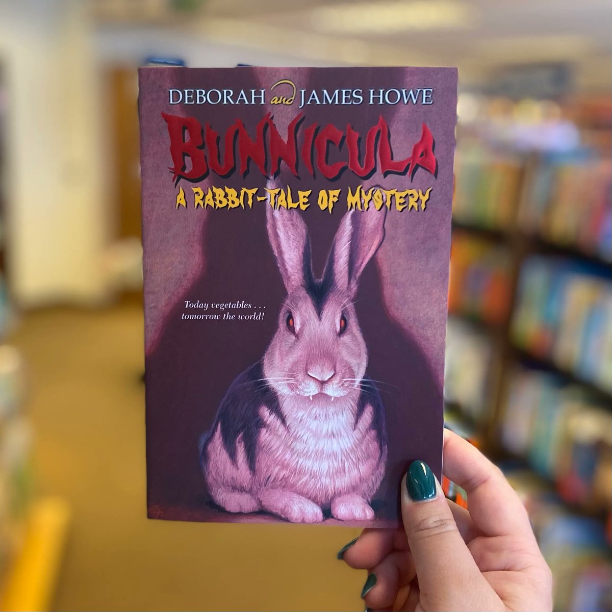 BNHazardCenter's tweet photo. “Bunnicula: A Rabbit-Tale of Mystery” by Deborah and James Howe is our new rediscovered classic! Is Bunnicula a vampire? We’re… unsure. Pick your copy up today and decide for yourself!
📚

📚

📚
#bunnicula #rediscoveredclassic #howe #reading #books #142bn https://t.co/6bWwFn6d1a