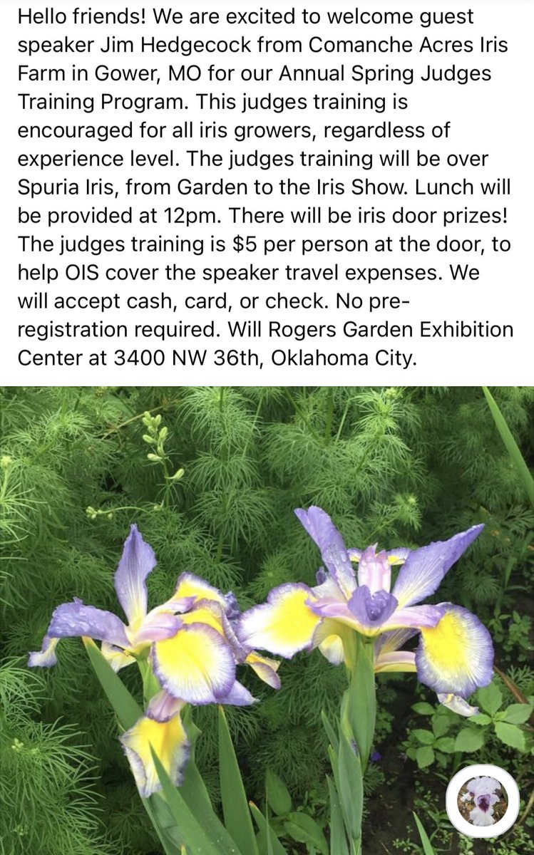 okc_iris's tweet photo. Excited for this Saturday’s program! Jim Hedgecock from Comanche Acres Iris will present “All About Spuria Iris” from 9am-12pm. Will Rogers Garden Exhibition Center at 3400 NW 36th, Oklahoma City.
#spuriairis #irises #iris #okciris https://t.co/0LxsMnoSa5