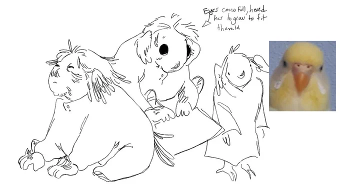 also ik meteion being a concept/familiar means she came out of the braincase fully formed but the concept of meteion having one of those baby bird esque phases where she looks sickly is really funny to me 