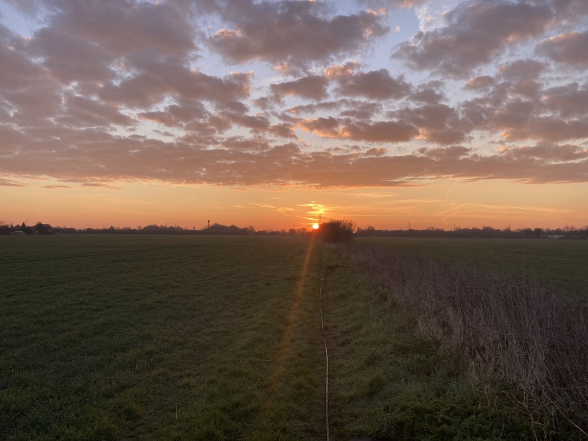 Neiljohnson1's tweet photo. What a lovely morning for a dog walk #radiox https://t.co/V4gUPOIzUh