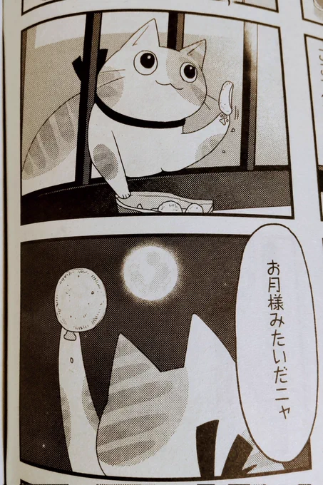 まんがタウン4月号発売中です、猫またはごはんを6話掲載していただいておりますよろしくお願いいたします〜🥰
今回ほぼ人間出てきません。猫がはまってぬけるまでのお話。 