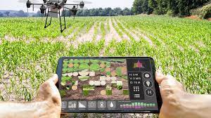 EugenHarerimana's tweet photo. #Precision farming can help today's African farmers meet these new agriculture challenges by applying #1Right input, #2Right amount, #3Right place,#4Right time, and in the right manner. 

#morden agriculture @Gugulethu_CM https://t.co/8x2CZptsJY