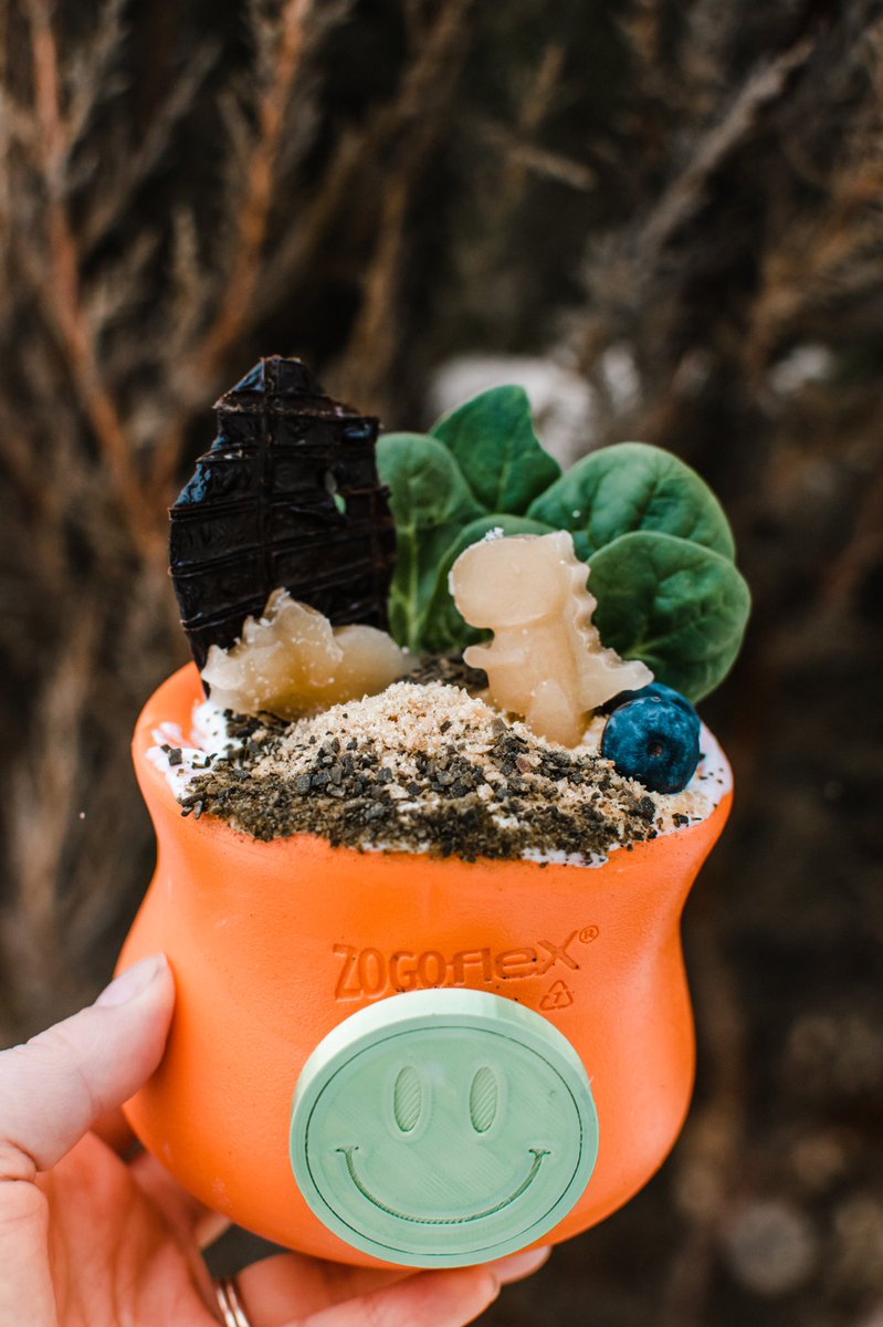 I’m pretty proud of this one😍 #TopplOfTheDay 
What’s inside:
• pumpkin purée 
• plain Greek yogurt
• kelp supplement
• golden flax seeds
• spinach 
• dehydrated beef liver
• frozen bone broth treats
• blueberries