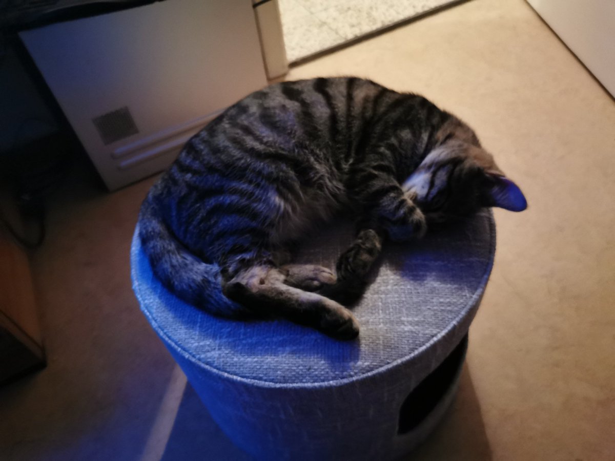 JohnnyDee tweet media