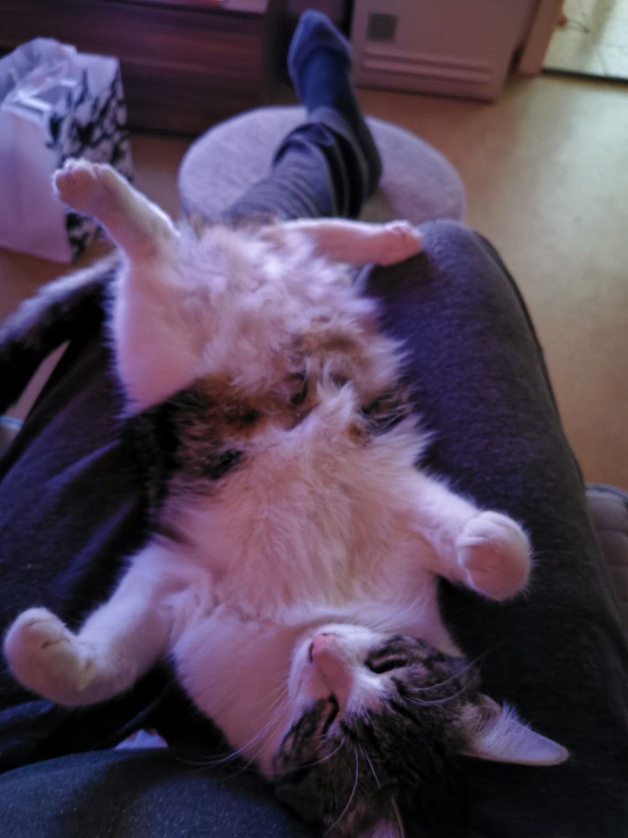 JohnnyDee tweet media