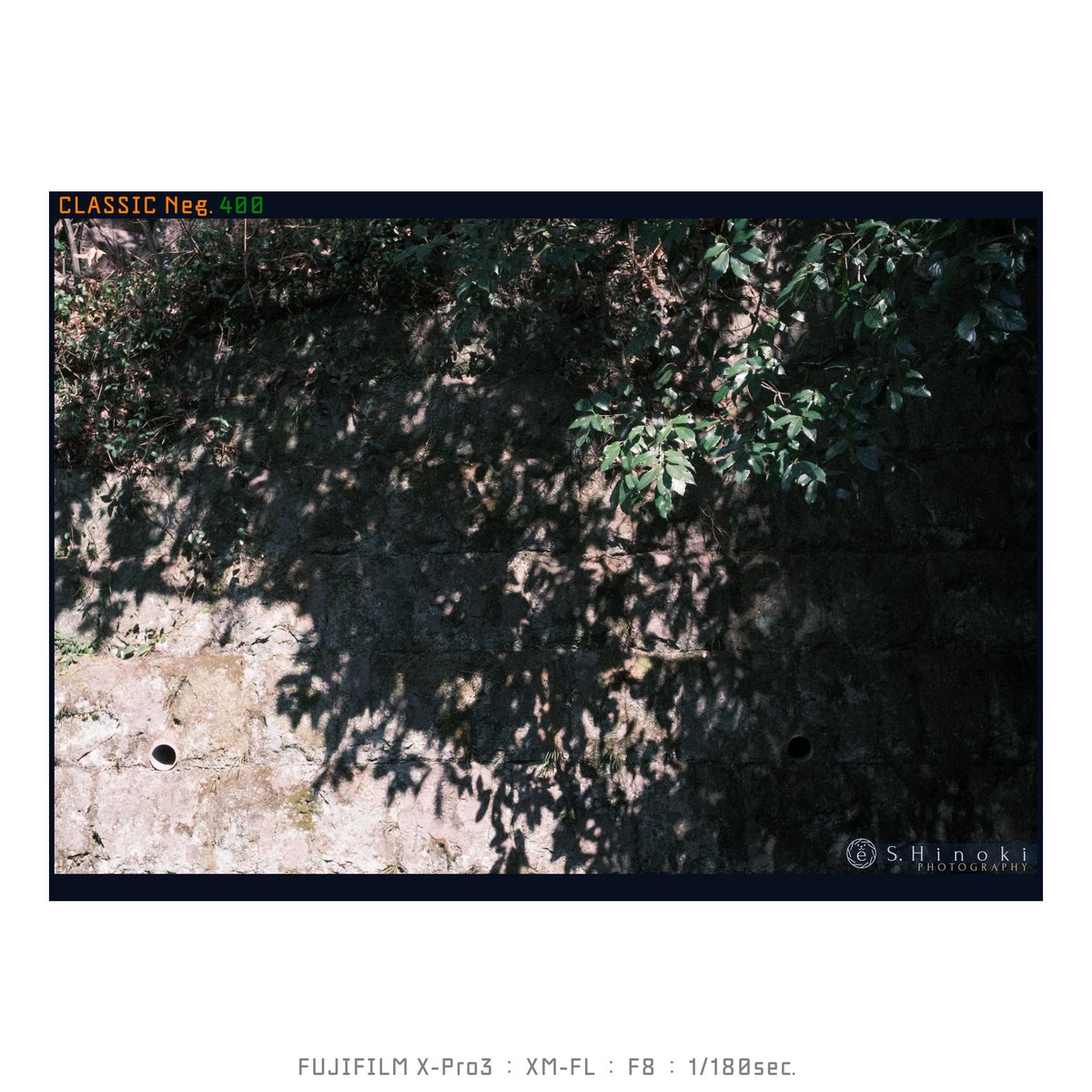 euclid890's tweet photo. 写ルンでスタイル
FUJIFILM X-Pro3
XM-FL
#FUJIFILM_XSeries #XPro3 #XMFL #ClassicNeg #Lofigrapher #Snapshooter https://t.co/z9ay26jfD1