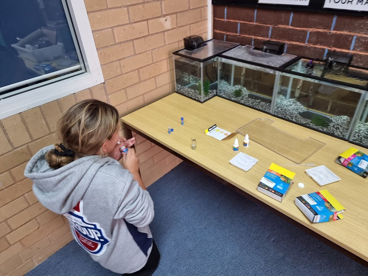 MenindeeCSchool's tweet photo. Students were engaged in the "Study Hour" this afternoon. Students conducted research, investigative practicals and utilised their teachers expertise in an efficient manner to advance their study skills.
#StudyHour
#ChocolateProvidedNextWeek
#KidsSmashedIt https://t.co/wf0T8jtkNX