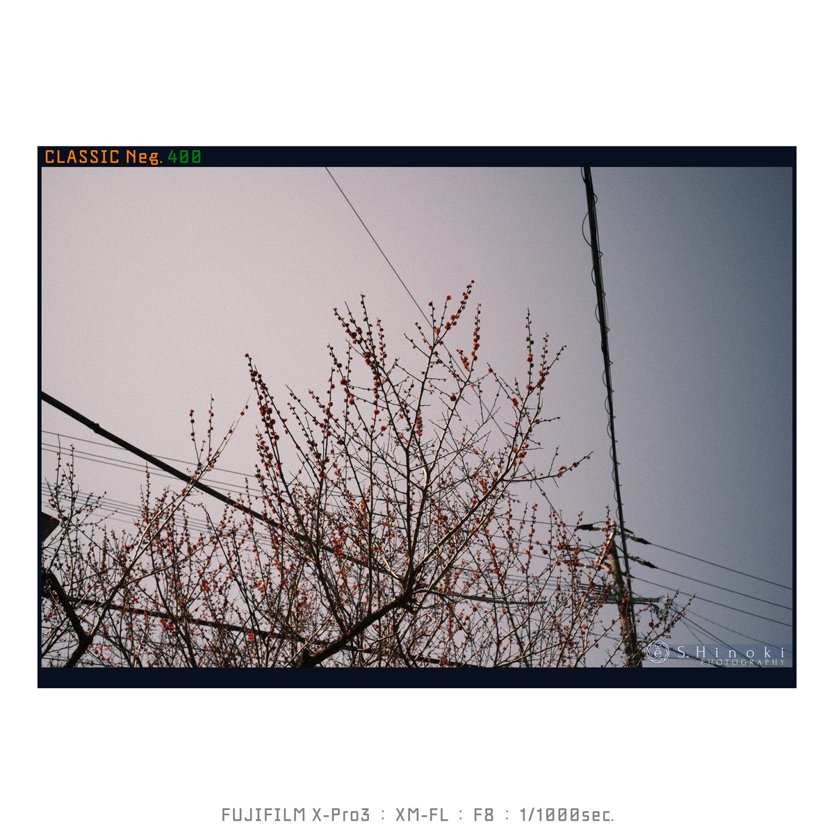 euclid890's tweet photo. 写ルンでスタイル
FUJIFILM X-Pro3
XM-FL
#FUJIFILM_XSeries #XPro3 #XMFL #ClassicNeg #Lofigrapher #Snapshooter https://t.co/z9ay26jfD1