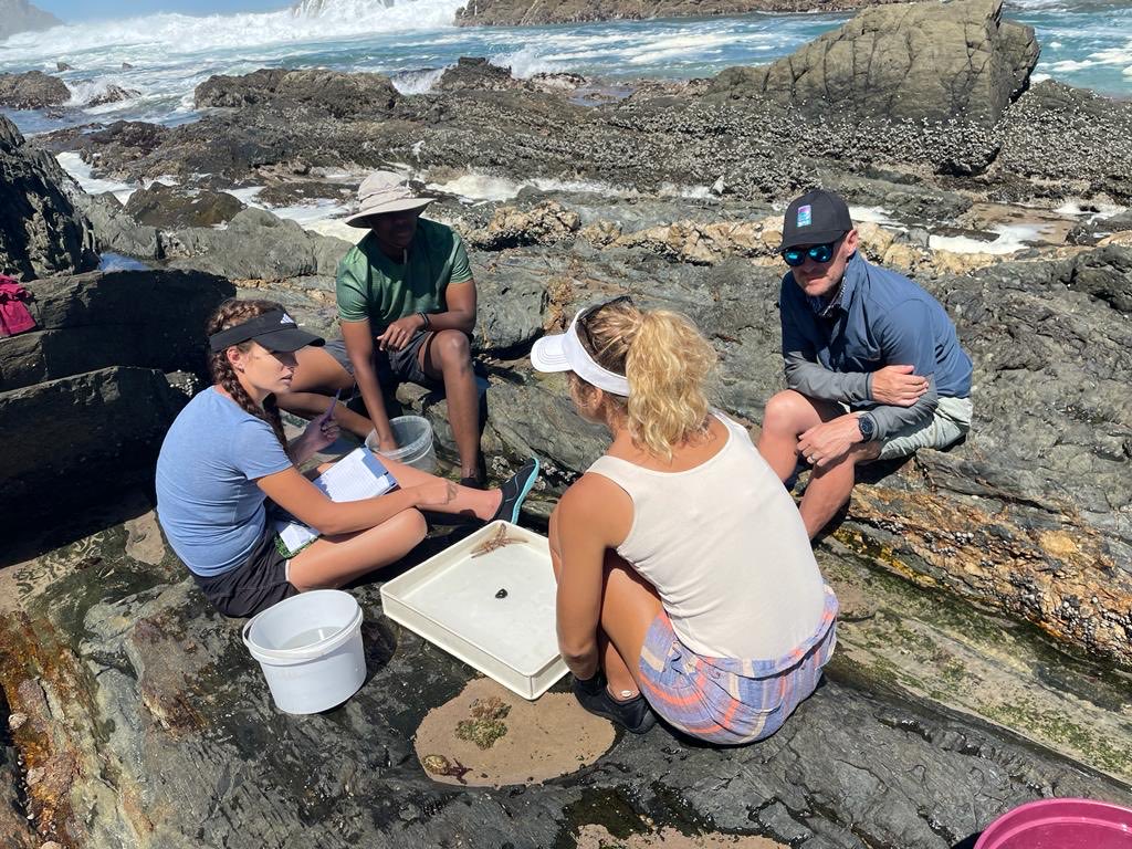 Nico J Smit tweet media