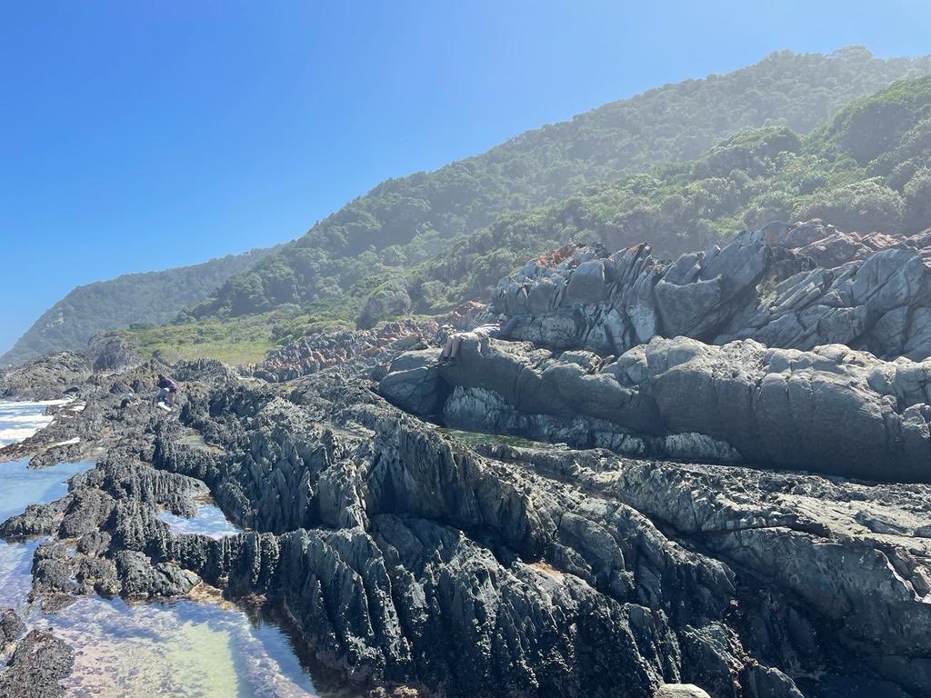 Nico J Smit tweet media