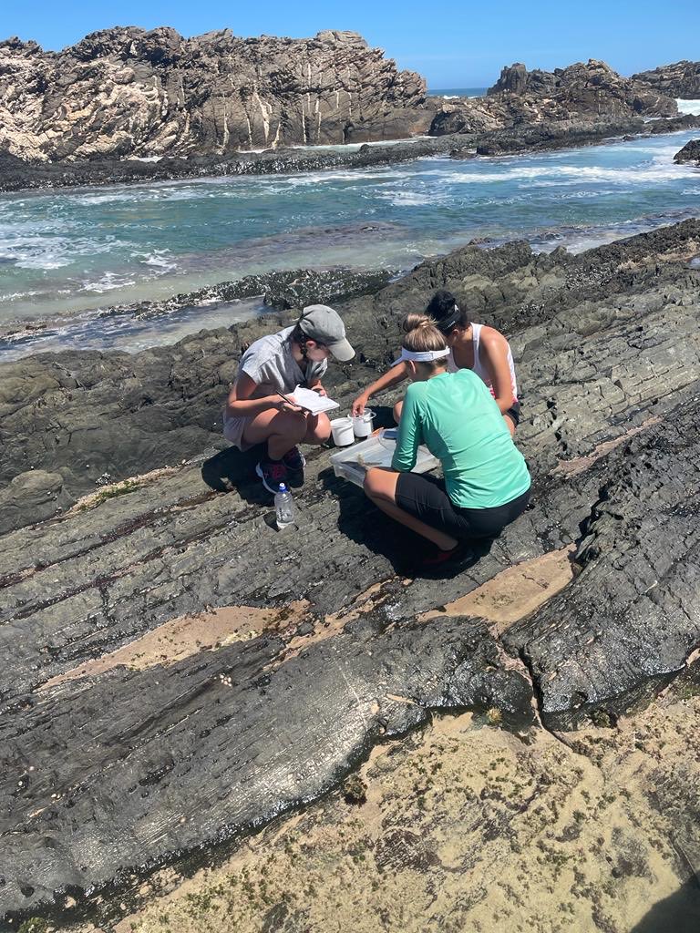 Nico J Smit tweet media