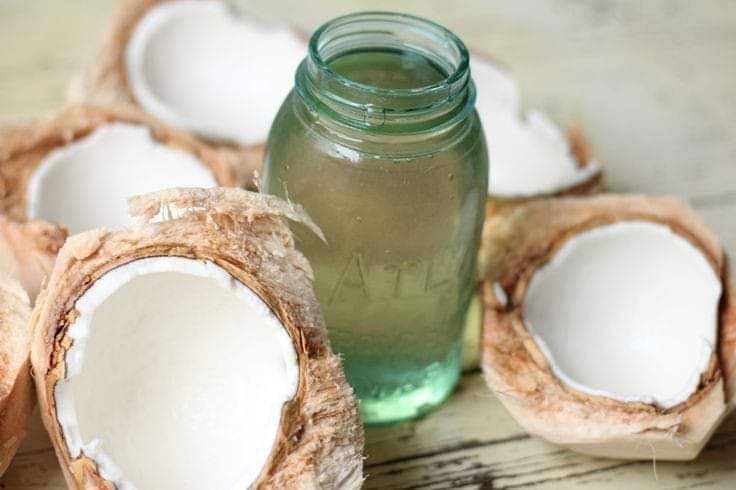 Benefits of coconut water according to Ayurveda – coconut water is a natural coolant, calms stomach, relieves gastritis, cleanses urinary bladder. It helps to relieve abdominal pain due to indigestion. It also acts as a natural aphrodisiac. #ayurveda #coconut #coconutwater