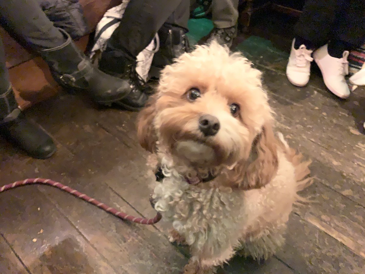 ChiltCreative's tweet photo. Another great night in the Queen’s Head. Not a quote from her majesty’s psychiatrist but a comment on last night’s networking meeting #networking #Creative #actor #photography #theatre #chesham https://t.co/VK8QIwAUC0