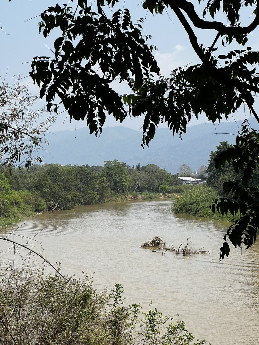 elehelp's tweet photo. Don’t remember seeing the usual alert from @MekongMonitor that warns us of #Dam releases upstream. But the #Ruak is rising fast, pushed by the #Mekong. #ChiangSaen #GoldenTriangle https://t.co/T65B8MjDwG