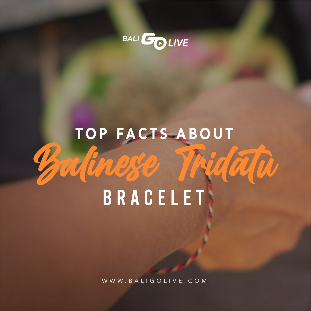 baligolive's tweet photo. Top Facts About Balinese Tridatu Bracelet✨

Hi #BaliGoLivers! You must have seen people wearing these bracelets in Bali, right? Are you interested to learn more about the details of this bracelet that named Tridatu? Swipe our content to learn more!

https://t.co/dlV8YsMQ8S https://t.co/qB11Js40ti