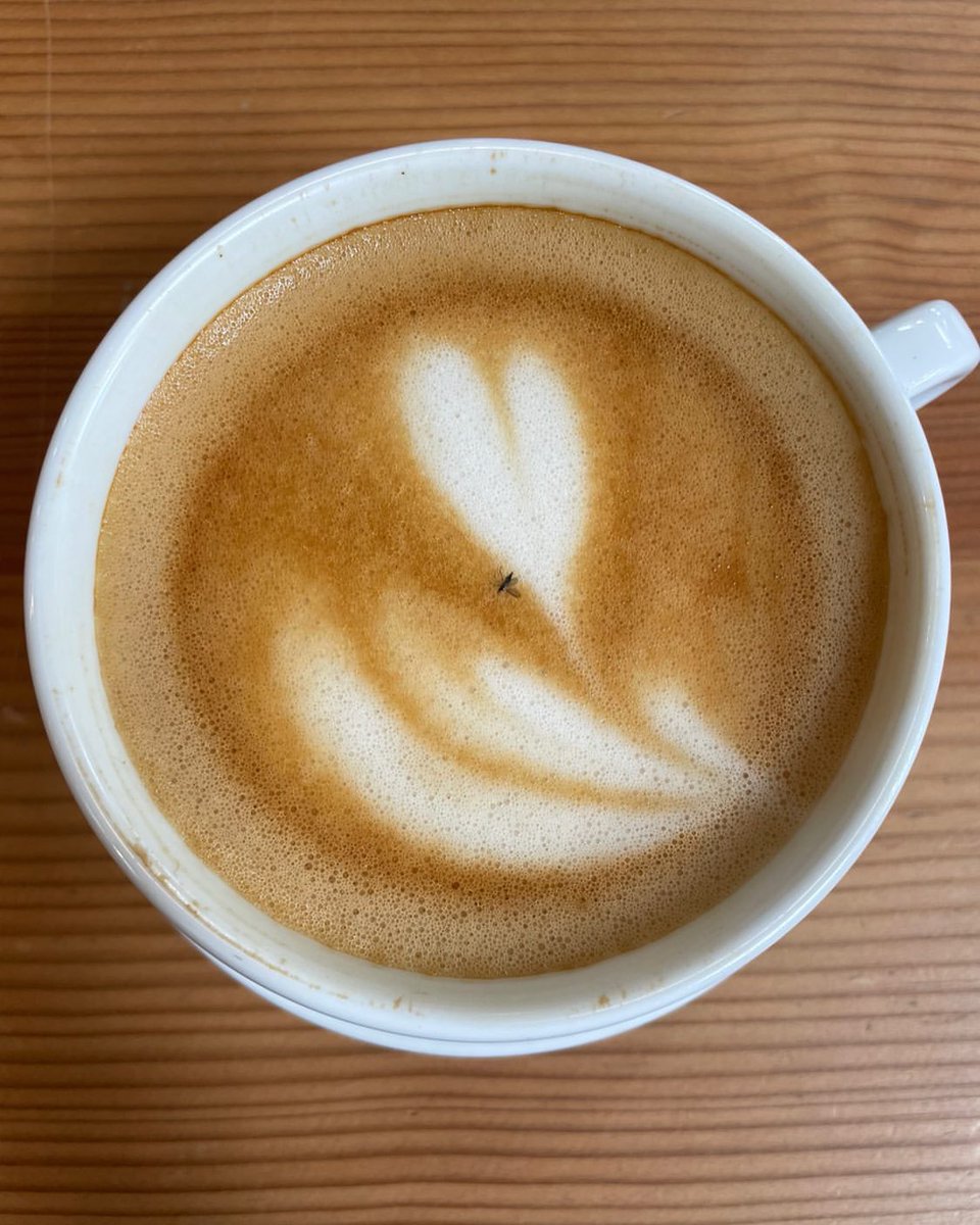 Daisy B. Johnson tweet media