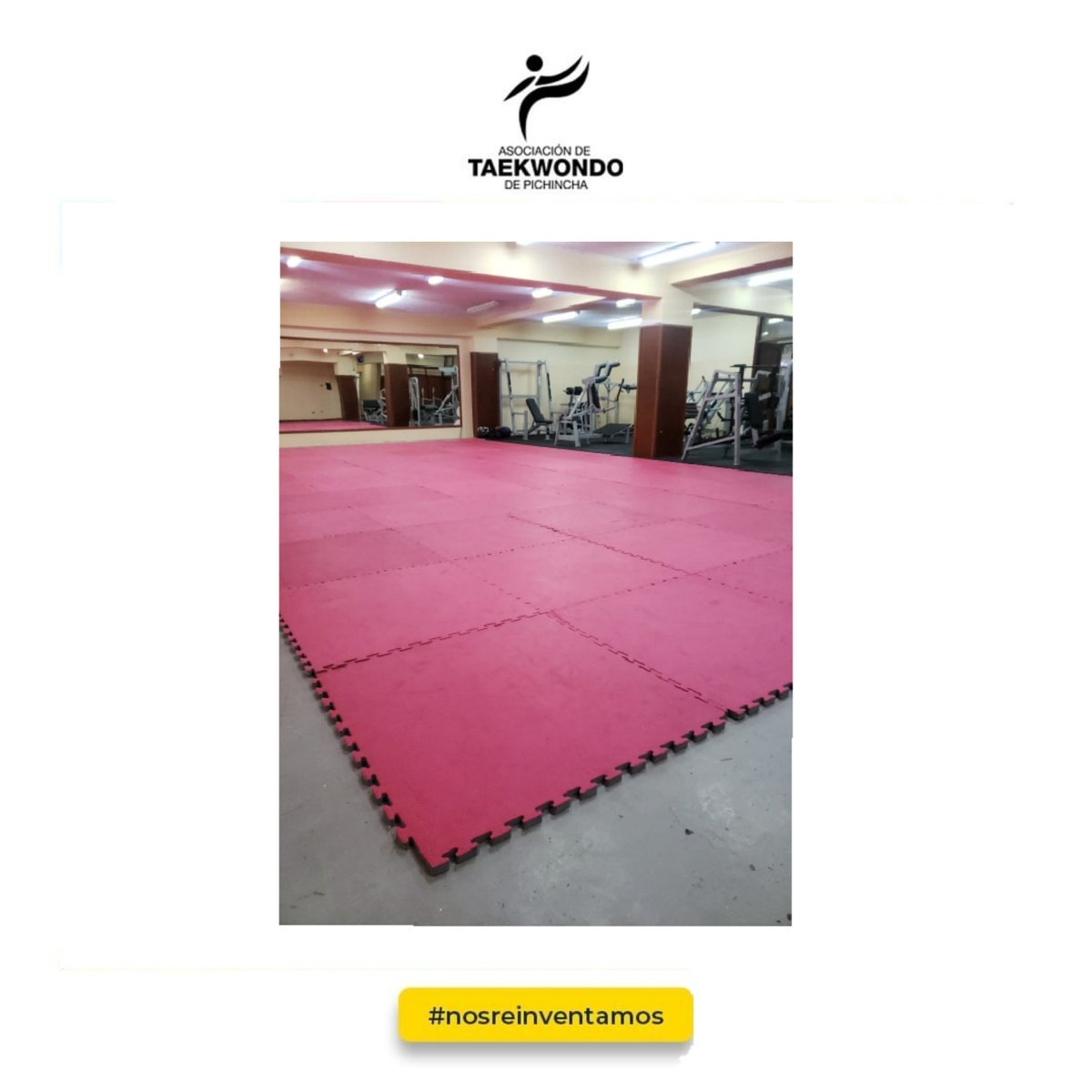 aso_tkd_pich's tweet photo. Mejoramos nuestras instalaciones 💯
Mira como construimos y nos reinventamos para dar siempre lo mejor a nuestros deportistas🙌🏼👌🏼
#nosreinventamos 
@TeamPichincha https://t.co/3Ola7S5qR0