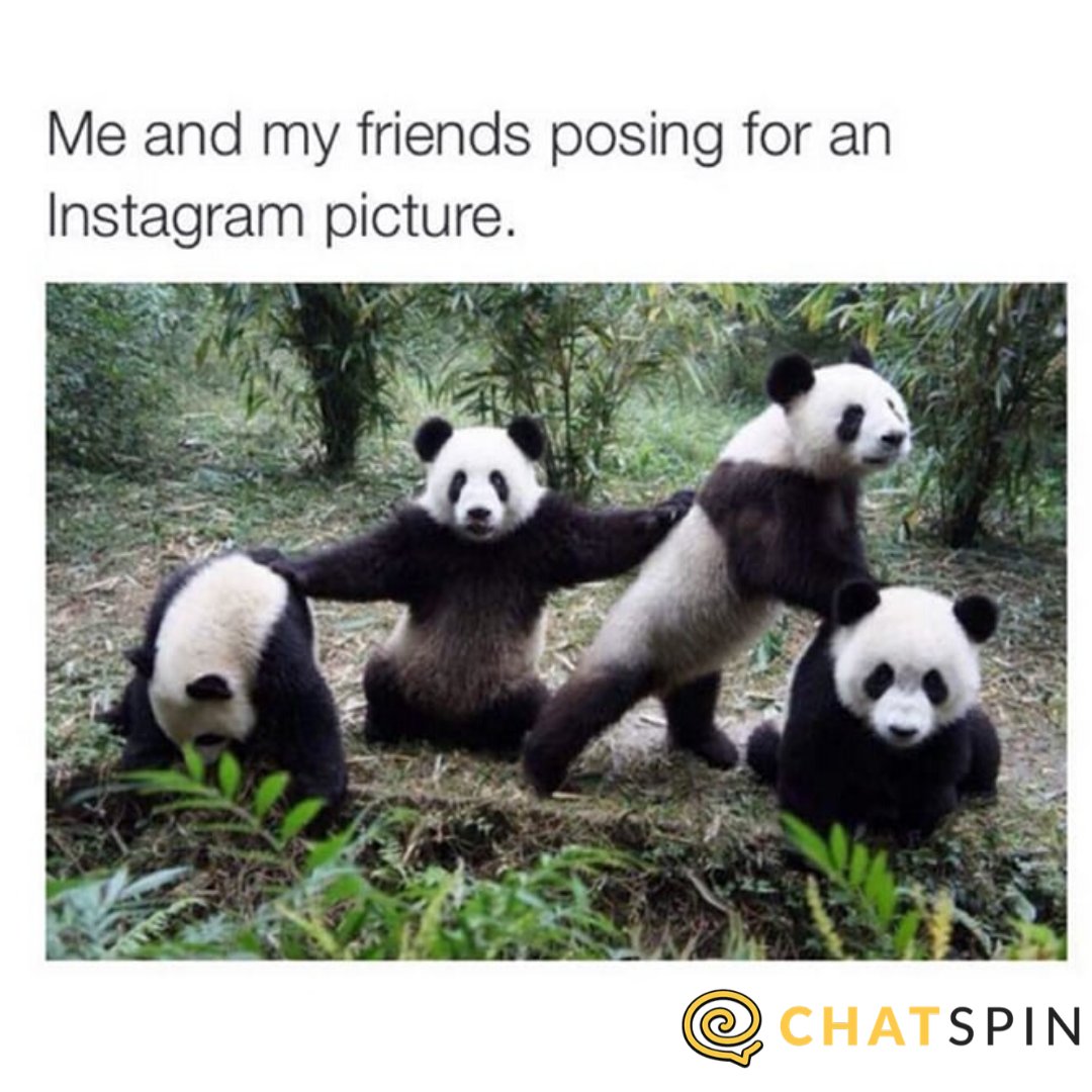 chatspin's tweet photo. That's about right. ๐ #friends #selfie #photoswithfriends #friendmeme https://t.co/oxk2lrpBXS