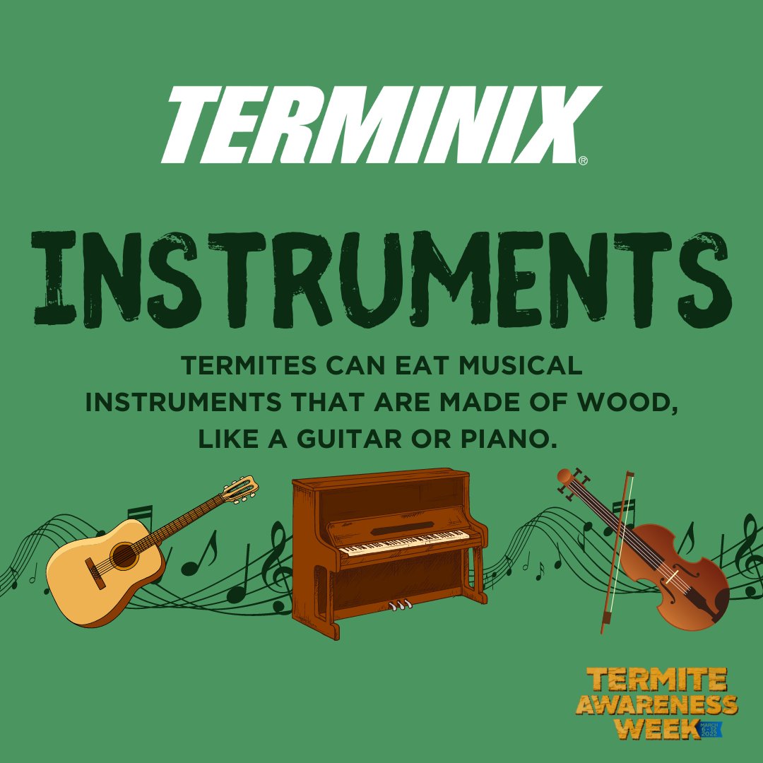 Termites' appetite isn't limited to wood! 😧 Scary thought, right? If you find termite damage to other items around your home, it's time to call in the experts. #TrustTerminix #TermiteAwarenessWeek #Termites
