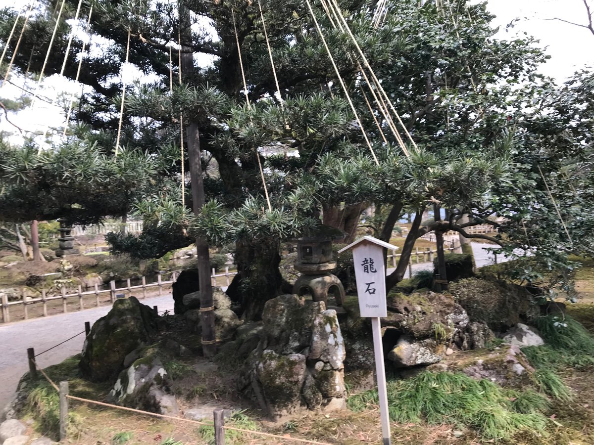 miyadonoMmmM's tweet photo. 兼六園。 https://t.co/l7JnWtwEL2