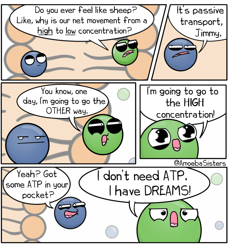 AmoebaSisters's tweet photo. Dreams of higher concentrations!
#scicomm #science #sciart https://t.co/krd1YkTvjw