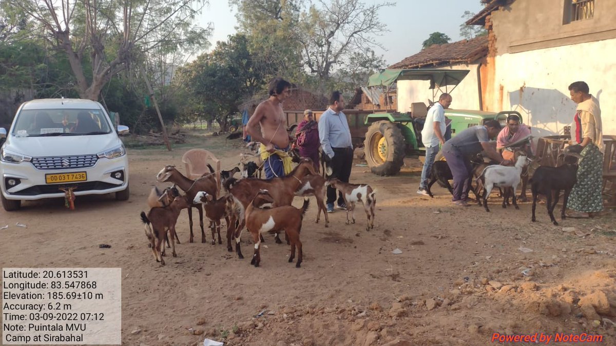 dahvsodisha's tweet photo. Mass deworming of Goats by ARD Dept. at Village  Sirabahal in Bolangir District to provide support to the goat farmers in getting more economic benefits https://t.co/iMyLLa9750