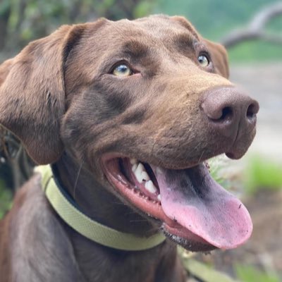 NicholasClay's tweet photo. #NewProfilePic https://t.co/SCXxhDsmpk