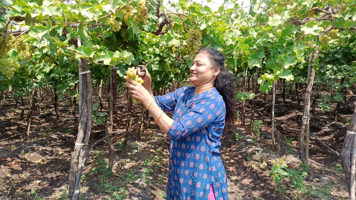 WineFriendManoj's tweet photo. Myself with my Hat on along with my family members, at a Nashik Vine ..For more info visit...https://t.co/3F0LLUWdAC https://t.co/B2SOJvNqqP