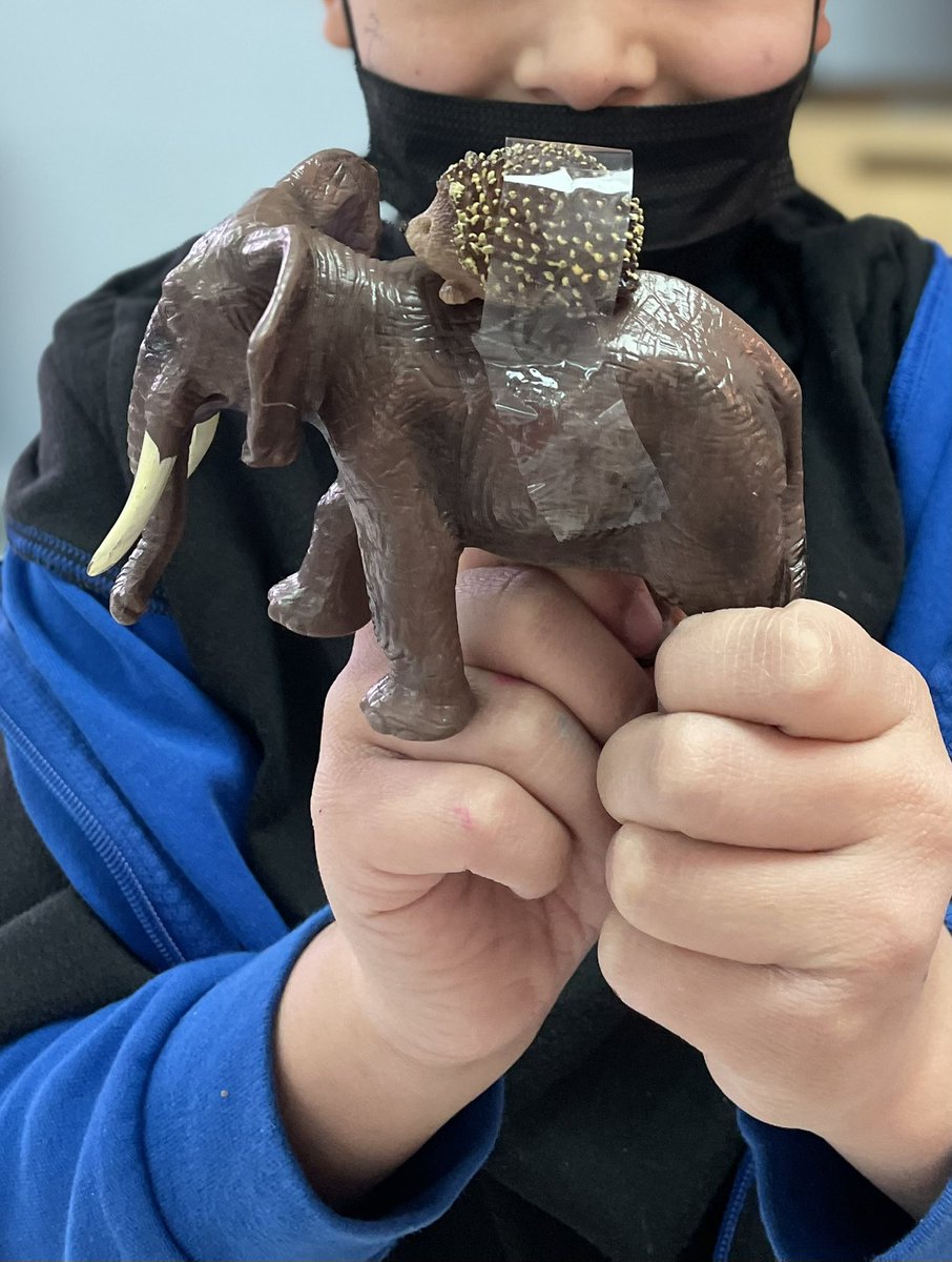 pwilton_ed's tweet photo. Proud teaching moment. This student is obsessed with this hedgehog. We’ve had many discussions around pronouns lately to support a classmate. Overheard during playtime “I wonder what hedgehog’s pronouns are? I better go ask.” In Room 15 we support all mammals and their pronouns. https://t.co/EyjMD9UAkL