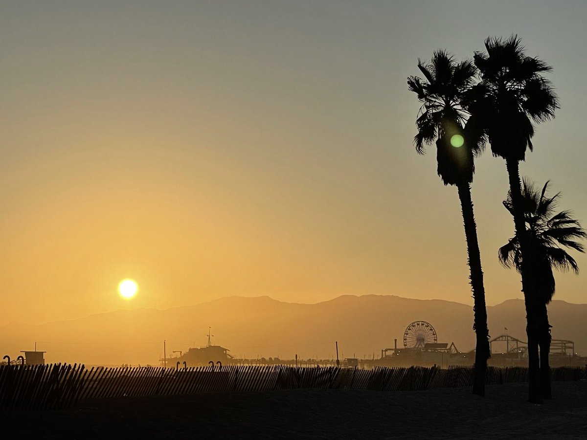 DJCVISION tweet media