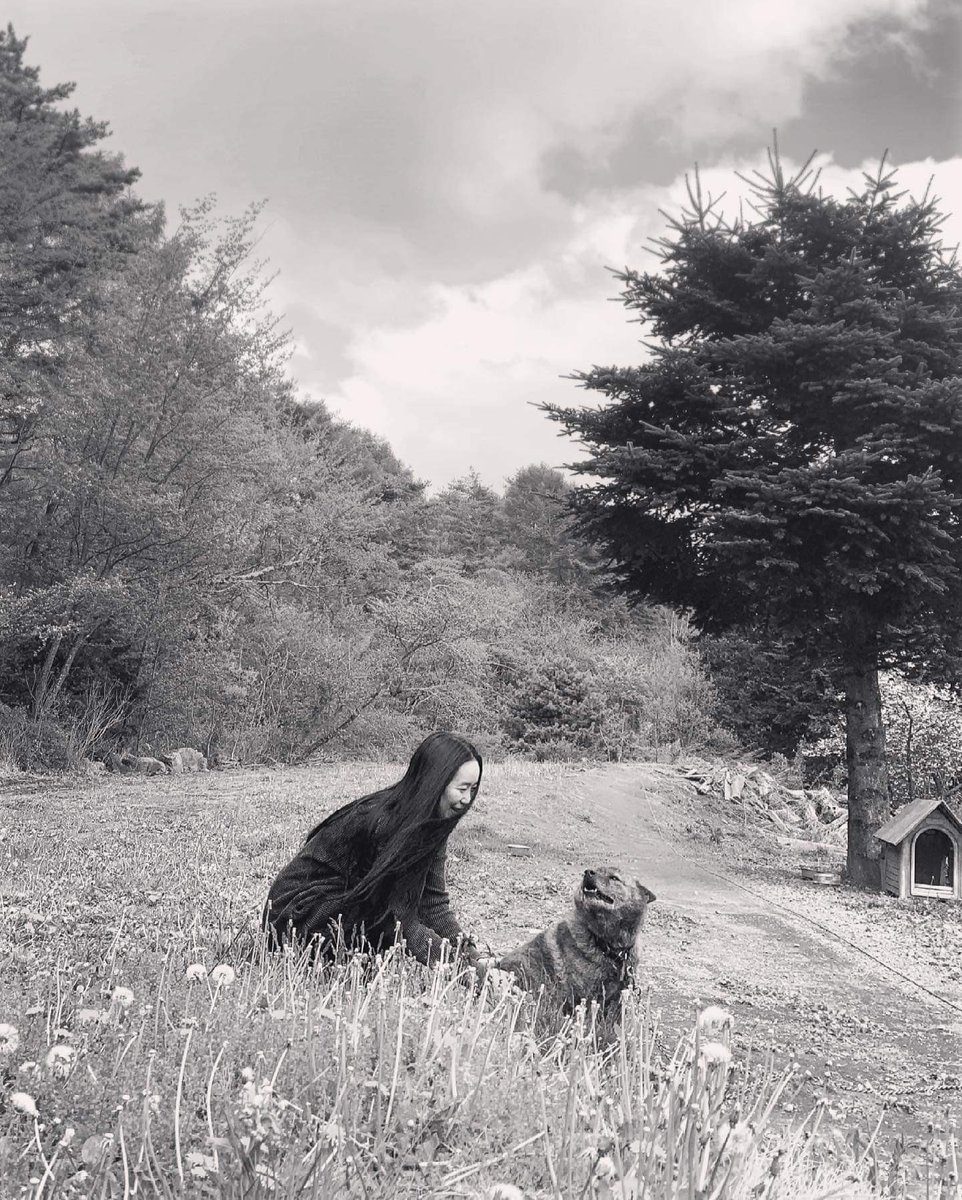 TerryRiley_info's tweet photo. @BOWWOW_TV and CHAO kun, Terry’s disciple #saramiyamoto ‘s dog, can be best friends? Come and see him!
⚡️FOLLOW TV KUN https://t.co/djGoZZTmyO
⚡️TERRY RILEY STREAMING TICKETS & TSHIRT https://t.co/s9kIMaIo7g
#dommune #terryriley #テリーライリー #宮本沙羅 #everythingandbeyond https://t.co/P9oBQRpxOl
