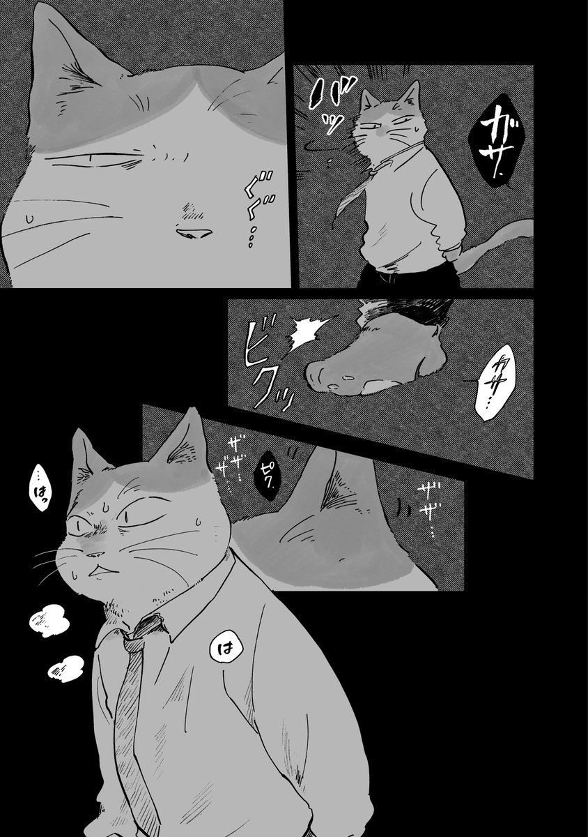 3/3 