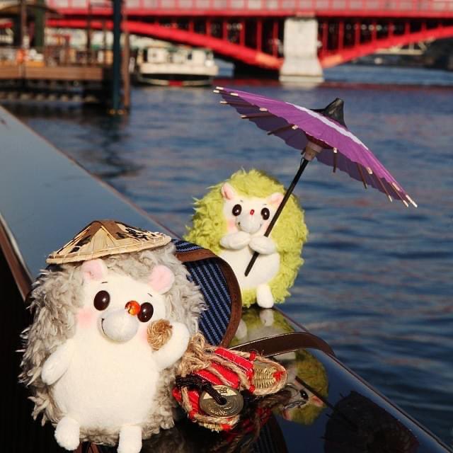 RainbowPockets's tweet photo. 浅草🏮✨
#ぬい撮り #rockandpaper https://t.co/0czBV6SG5L