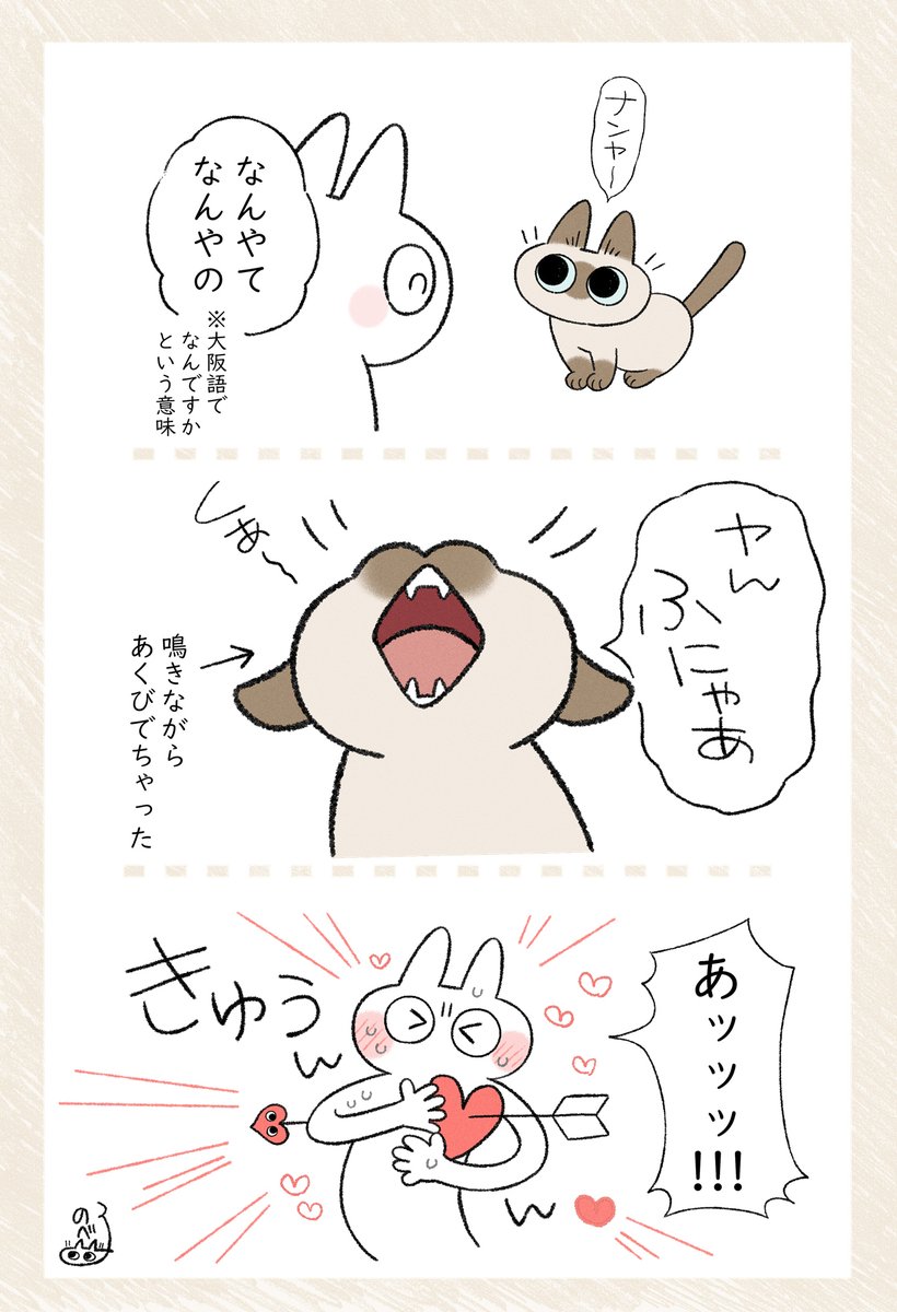 あッッッ!!❤️❤️❤️❤️❤️❤️❤️ #シャム猫あずきさんは世界の中心猫 