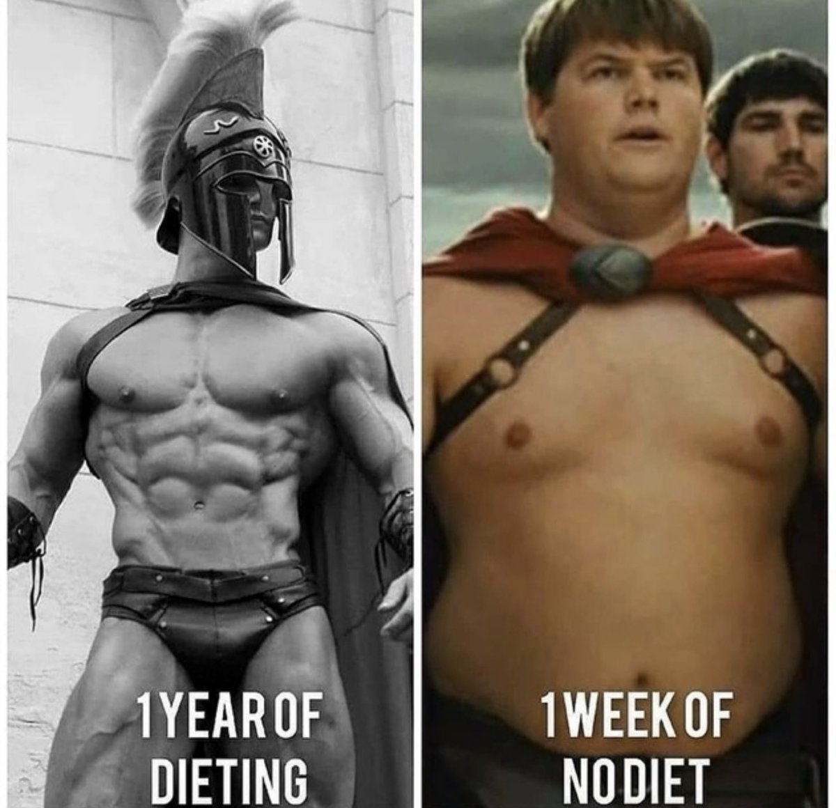 FableLaboratory's tweet photo. For some reason it��s how it feels‼️      Shop https://t.co/rDSRyrQ9iP      #flex #fit #fitness #fitfam #fitchicks #f4f #gym #gains #beastmode #bulk #strong #aesthetics #bodybuilding #biceps #squat #arms #gym #gains #gymgirl #gymrat #gymselfie #instafit #buff #lift #gymmemes https://t.co/XCy90XM8E7