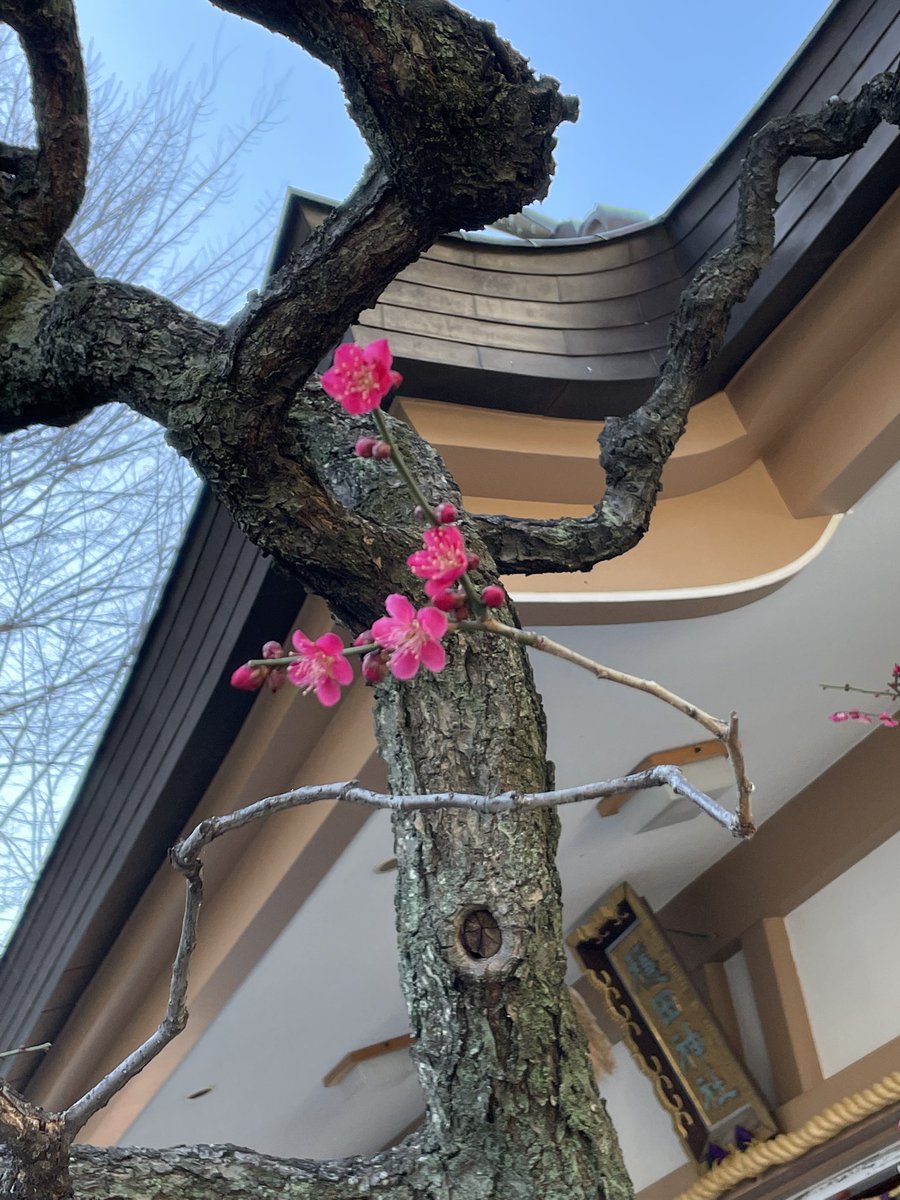 ctheron97's tweet photo. 2022年2月28日
#隠田神社
#御朱印
今年の干支の虎🐯スタンプ
東京都渋谷区神宮前 https://t.co/bPoG3JHDXK