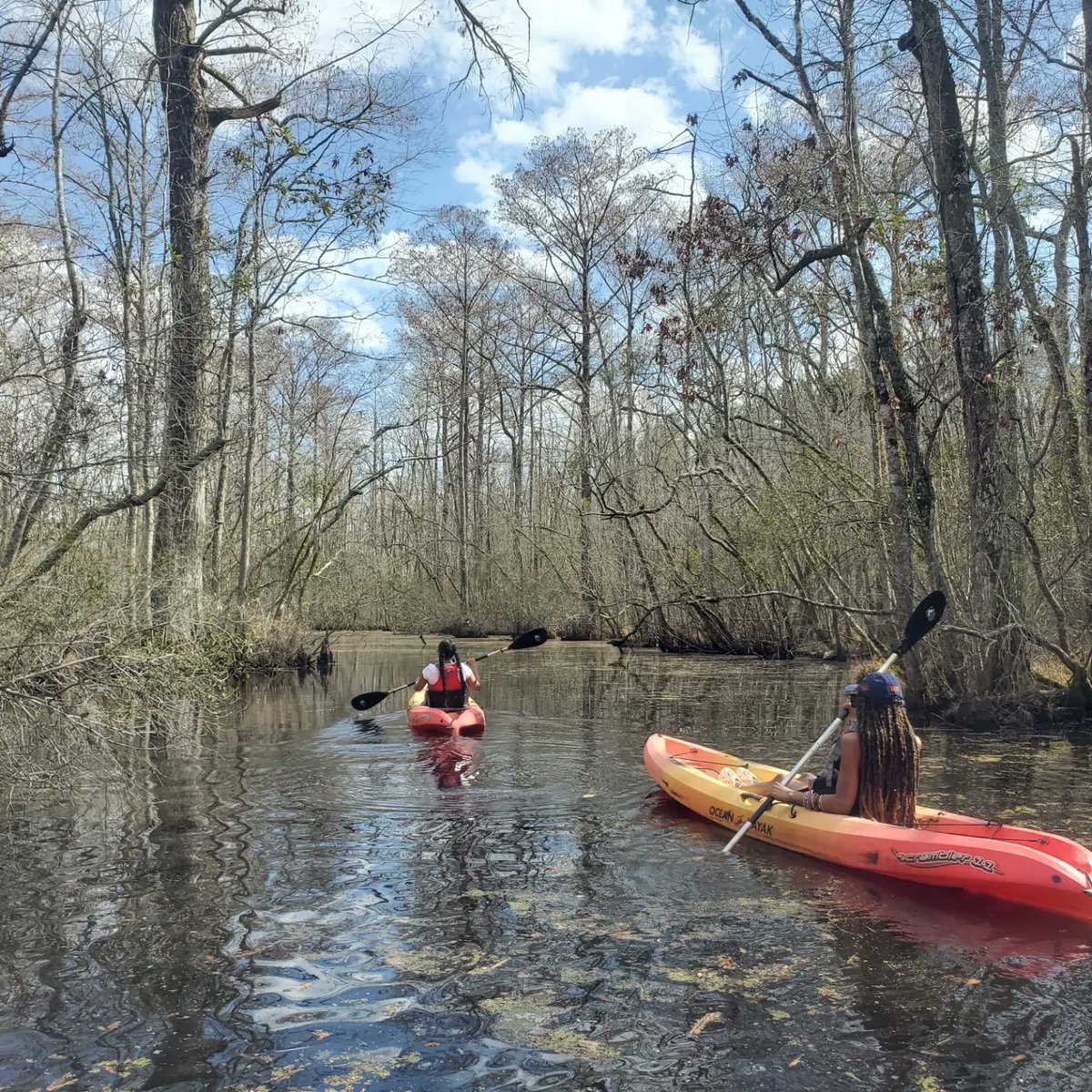 Adventure Kayak Tours tweet media