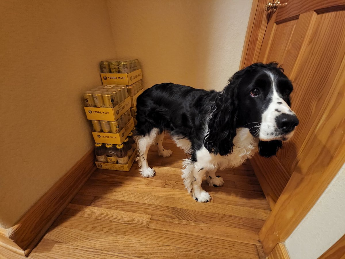 BootsCollins's tweet photo. Reggie likes to guard the reserves to make sure everyone gets inspired!
@Guayaki #sponsor #studiopup #shows #musician #austinmusic #sxsw #guayaki #guayakiyerbamate
*
*
*
*
@the_bubble_studios Showcase at @guerostacobar 3/18 2pm-9pm, free. @ScottCollinsATX (Band) at 330pm. https://t.co/GMw1GPyomm