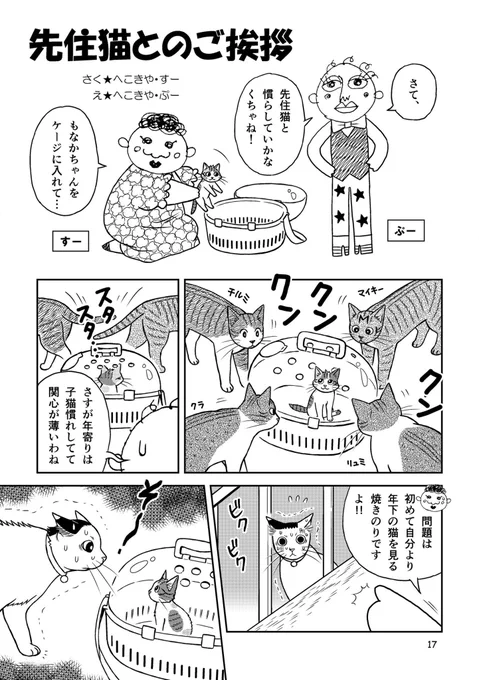 浮かれて写真集までオマケにつけた
もなかちゃんオンリー本、
まだ在庫ございます🙆‍♀️💕

https://t.co/f1JMKFu9nv 