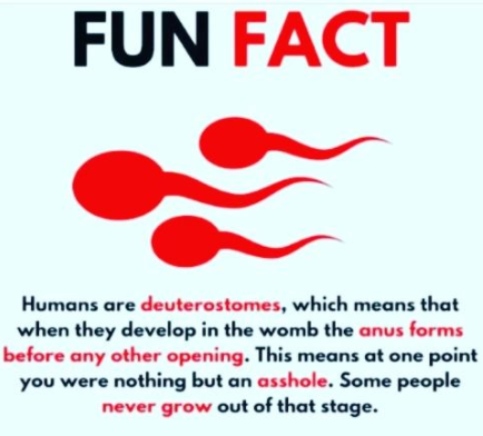 FolksHealthy's tweet photo. health and fitness tips, like &amp; share post, more health plan link in bio. @FolksHealthy  #healthytips #fitnesstips #healthylife #healthandfitness https://t.co/42oSOAEHA9