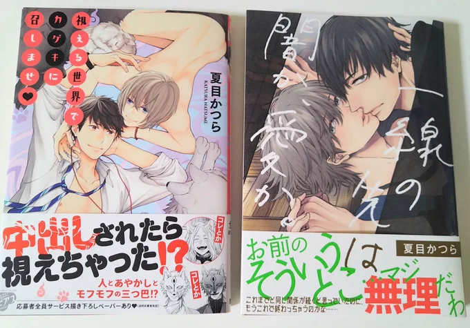 夏目ちゃん(@natume_k)から届きました💖コミックス発行おめでとうございます✨ 