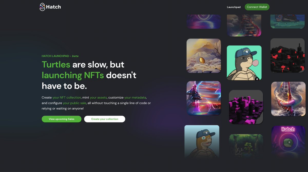 Hatch Launchpad | Galapagos tweet media