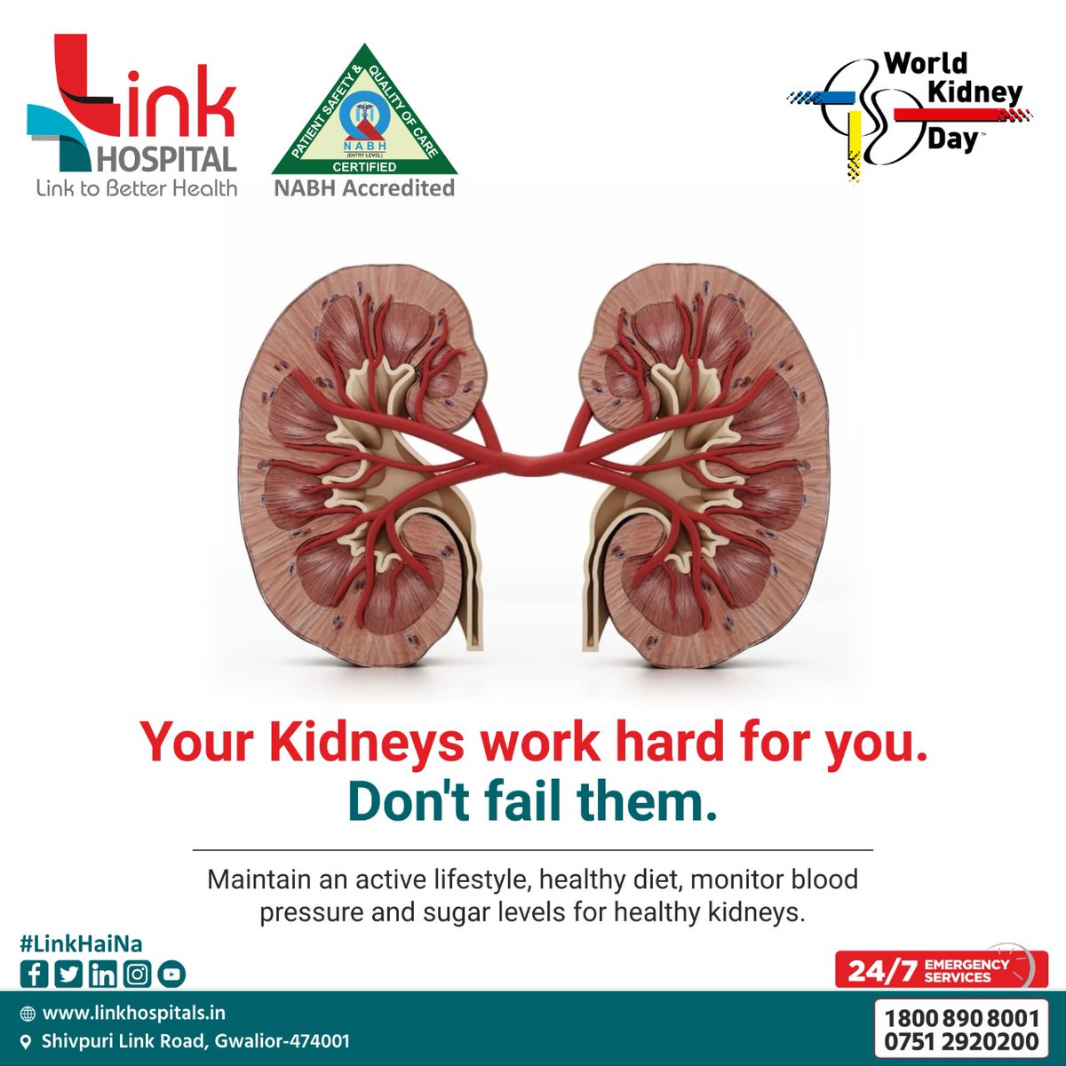 Link_Hospital's tweet photo. Link Hospital
Shivpuri Link Road
Gwalior
contact No:0751-2920220
#Hospital #linkhospital #healthcare #appointments #linkhospital #Hospitality #specialist #nurses #superspeciality   #specialties #eathealthy #healthybody #healthymind #checkup #worldkidneyday2022 #kidneyhealthforall https://t.co/okKOIWSIjv